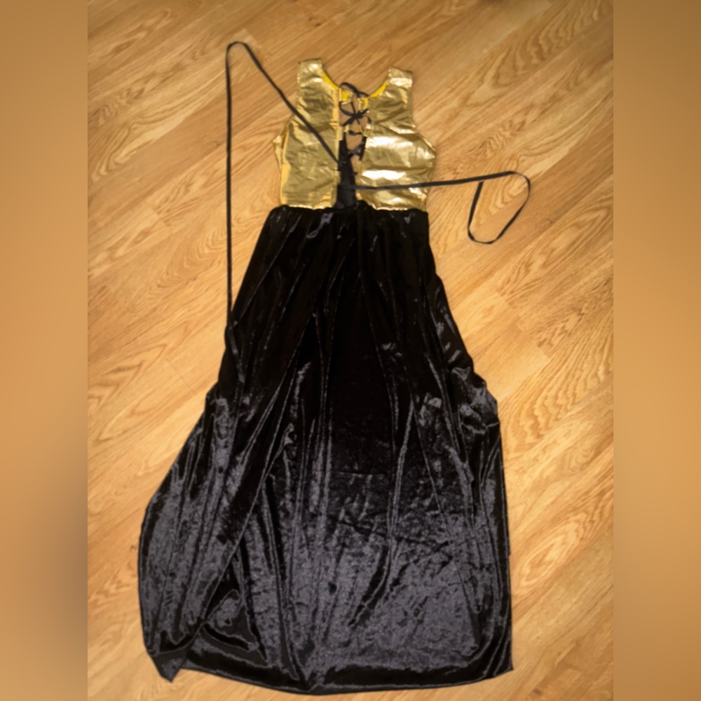 Elegant Black and Gold Velvet Gown used as a cleopatra costume once